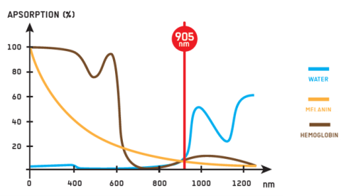 absorbtion of wavelength